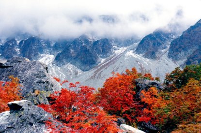 初冠雪の穂高 ナナカマドの紅葉 撮影地：涸沢