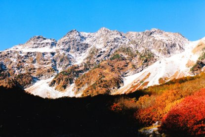 初冠雪の穂高 ナナカマドの紅葉 青空 三段紅葉