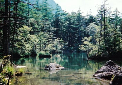 上高地　明神池