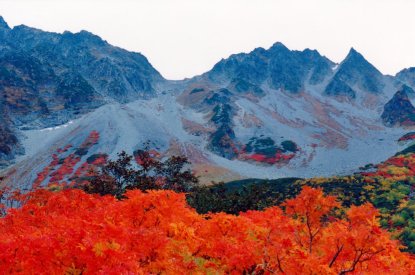 涸沢 穂高 ナナカマド 紅葉 秋