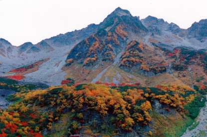 涸沢から見上げた北穂高岳 紅葉 秋