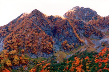 涸沢～本谷橋 ナナカマド 紅葉 秋