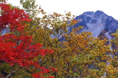 ナナカマドの紅葉　涸沢パノラマコース