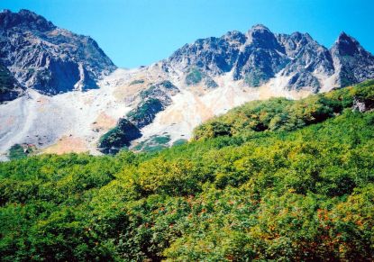 涸沢 ザイテングラード ナナカマド