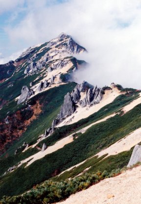 燕岳（２７６３ｍ）～風化した新期花崗岩の白い砂礫に、ハイマツの緑