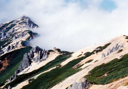 燕岳（２７６３ｍ）～風化した新期花崗岩の白い砂礫に、ハイマツの緑