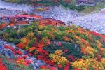 涸沢 涸沢ヒュッテ ナナカマド 紅葉 秋