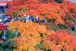 涸沢ヒュッテの裸電球 紅葉 秋