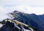 燕岳（２７６３ｍ）～風化した新期花崗岩の白い砂礫に、ハイマツの緑